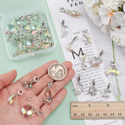 28Pcs 14 Style Glass European Dangle Charms PALLOY-WR00020-1