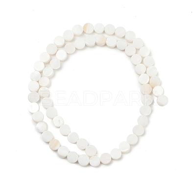 Natural Freshwater Shell Beads Strands SHEL-K010-03-1