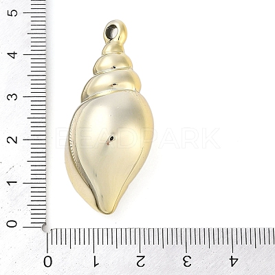 CCB Plastic Pendants CCB-B004-02G-1