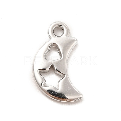Non-Tarnish 304 Stainless Steel Pendants STAS-F282-15P-1