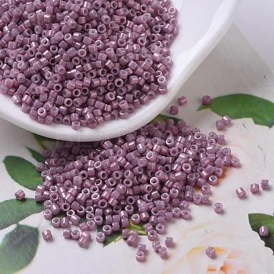 MIYUKI Delica Beads Small X-SEED-J020-DBS0253-1