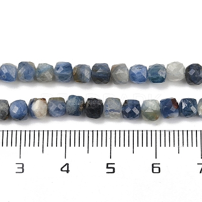 Natural Kyanite Beads Strands G-M092-C01-02-1
