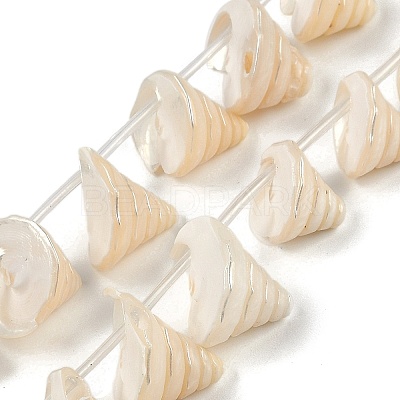 Natural Shell Beads Strands X-SHEL-K009-11-1