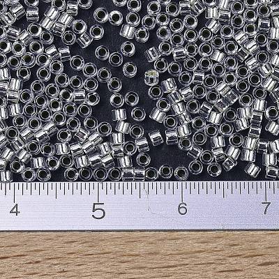 MIYUKI Delica Beads X-SEED-J020-DB0041-1