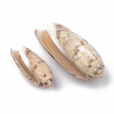 Spiral Shell Pendants SSHEL-S258-29-1