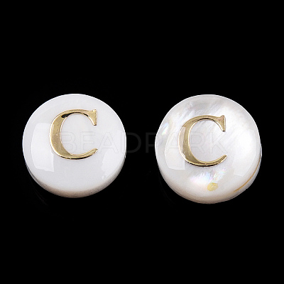 Natural Freshwater Shell Beads SHEL-N036-01C-1