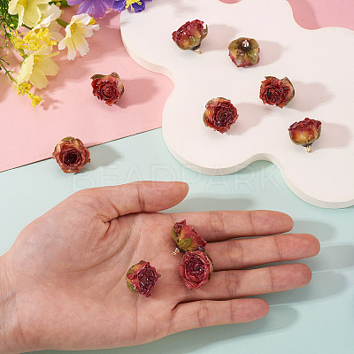 10Pcs Preserved Rose Pendants KY-TA0001-59C-1