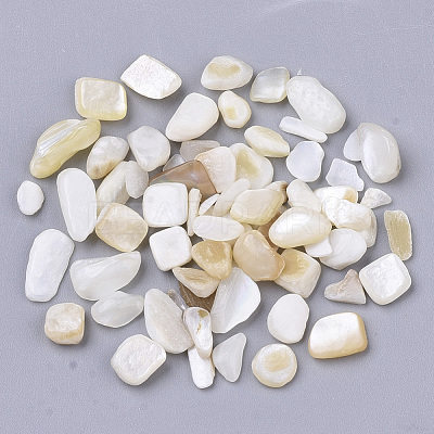 Freshwater Shell Beads SHEL-S266-11-1