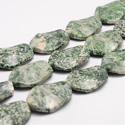Natural Green Spot Jasper Bead Strands G-K153-K02-1