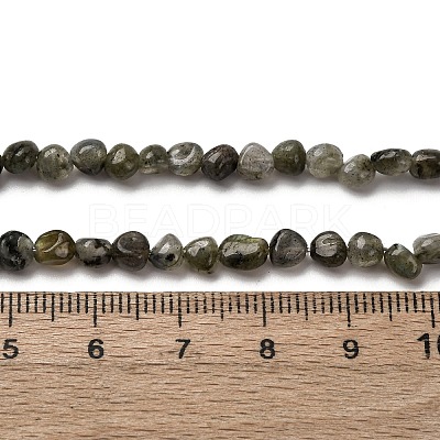 Natural Labradorite Beads Strands G-I389-A35-01A-1