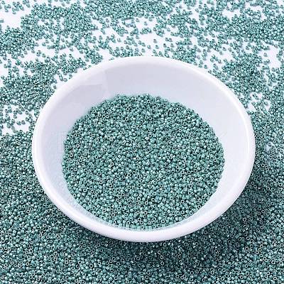 MIYUKI Delica Beads X-SEED-J020-DB1183-1