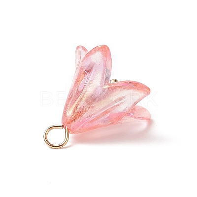 Acrylic Pendants PALLOY-TA00023-1