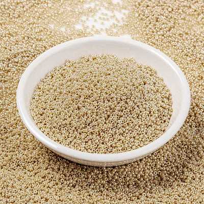 MIYUKI Round Rocailles Beads X-SEED-G009-RR0442-1