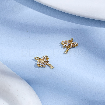 2Pcs Brass Micro Pave Grade AAA Cubic Zirconia Charms ZIRC-LP0001-34-1