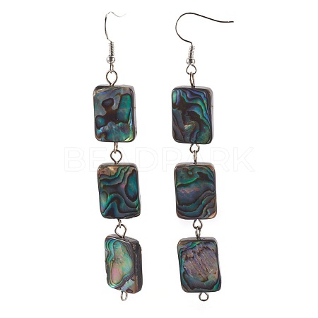 Natural Abalone Shell/Paua Shell Beads Dangle Earrings EJEW-JE02854-1