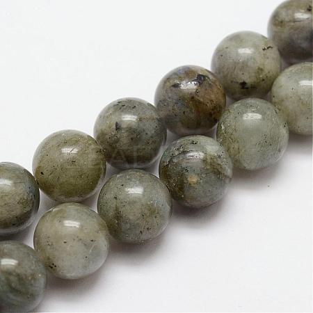 Natural Labradorite Bead Strands G-O155-05A-6mm-1