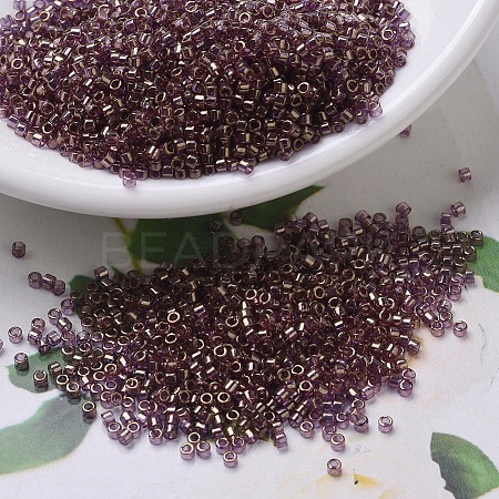 MIYUKI Delica Beads Small X-SEED-J020-DBS0108-1