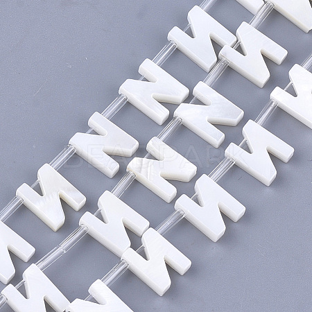 Natural Freshwater Shell Beads SHEL-T012-59N-1