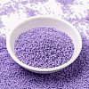 MIYUKI Round Rocailles Beads X-SEED-G009-RR4488-2