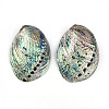 Natural Paua Shell Beads SSHEL-Q298-22-1