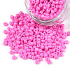 Baking Paint Glass Seed Beads SEED-S001-K2-1