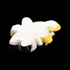 Opaque Resin Animal Cabochons LS-CRES-M024-01C-2