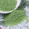 MIYUKI Round Rocailles Beads X-SEED-G007-RR0676-1