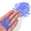 12/0 Grade A Round Glass Seed Beads SEED-N001-D-13/212-4