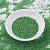 MIYUKI Delica Beads Small SEED-X0054-DBS0046-2