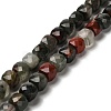 Natural African Bloodstone Beads Strands G-H078-C26-01-1