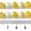 Dyed & Heated Natural Fire Crackle Agate Beads Strands G-P539-B01-06-5