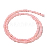 Natural Freshwater Shell Beads Strands SHEL-P017-01B-09-2
