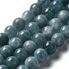 Dyed Natural Malaysia Jade Beads Strands G-G021-01B-01-2