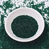 MIYUKI Delica Beads X-SEED-J020-DB0713-2