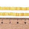 Natural Freshwater Shell Beads Strands SHEL-Q028-01C-4