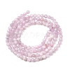 Natural Kunzite Beads Strands G-G343-B04-3mm-3