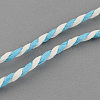 24 Rolls Twisted Paper Cord DIY-S003-01-20m-3