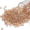 TOHO 6/0 Round Beads SEED-TR06-0031-1