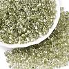 Baking Paint Transparent Glass Seed Beads SEED-N006-05I-1