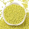 8/0 Baking Paint Glass Seed Beads SEED-M012-02A-48-2