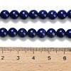 Natural Lapis Lazuli Beads Strands G-L642-B05-6mm-5