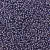 TOHO 11/0 Round Beads X-SEED-TR11-2124-2