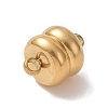 Ion Plating(IP) 304 Stainless Steel Magnetic Clasps with Loops STAS-P206-03G-1