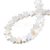Natural Freshwater Shell Beads Strands LS-SHEL-S278-01A-01-4