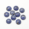 Natural Blue Spot Jasper Cabochons G-R416-12mm-45-1