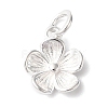 925 Sterling Silver Charms STER-M120-01D-S-1
