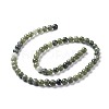 Natural Taiwan Jade Beads Strands Z0NCT012-5
