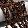 Natural Red Pietersite Beads Strands G-G905-16-2