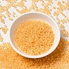 12/0 Transparent Glass Seed Beads SEED-F003-03C-01-2