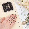 300Pcs 2-Hole Glass Seed Beads SEED-NB0002-12-3